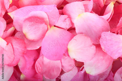 pink petals of rosehips background