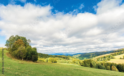cloudy september countryside in mountains. deciduous trees on the grassy meadow. clouds cover the blue sky. windy weather