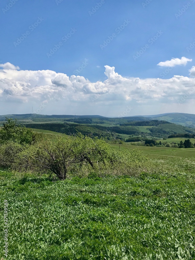 Scenic hike to the Kreuzberg (Calvary) pilgrimage site in Bavaria's Rhön (Rhoen) region (Germany), a sacred mountain with lush grass and a blue sky with white clouds Scenic hike to the Kreuzberg (Calvary) pilgrimage site in Bavaria's Rhön (Rhoen) region (Germany), a sacred mountain with lush grass and a blue sky with white clouds