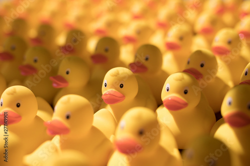 group of rubber ducks © TIGERRAW