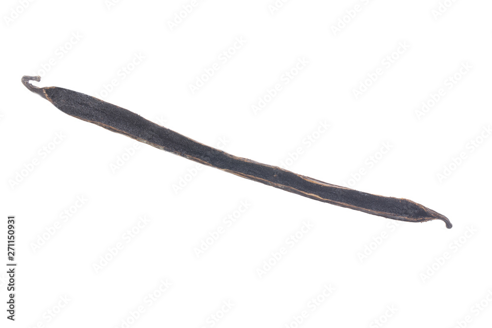 single vanilla pod with seeds isolated on white background single vanilla pod with seeds isolated on white background