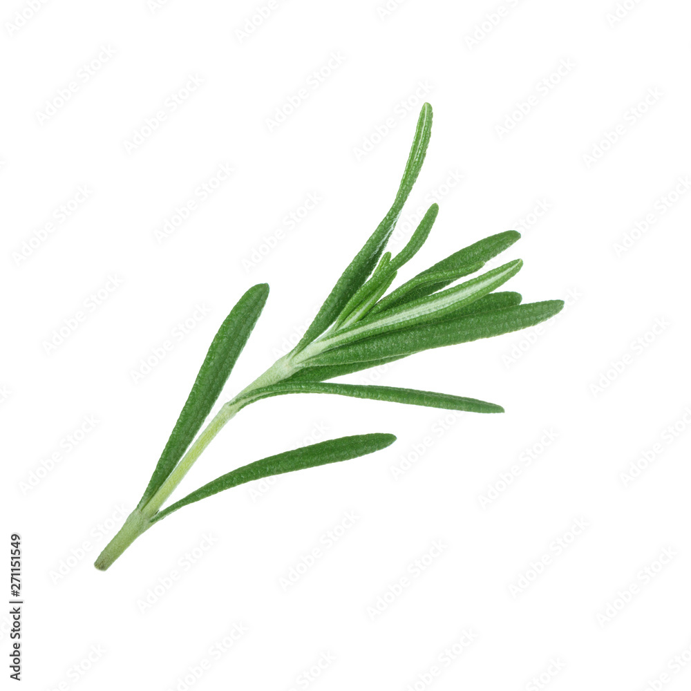 Fototapeta premium leaves of rosemary isolated on white bakcground