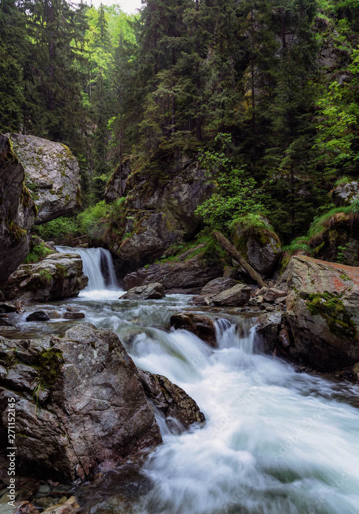 Rapid river in Carpathian Mountains Rapid river in Carpathian Mountains