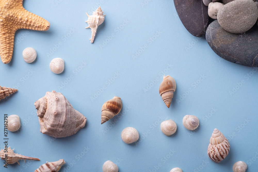 Summer texture starfish seashell pebbles top view blue background