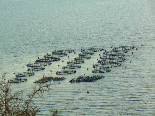 Mussel farming lagoon. photo