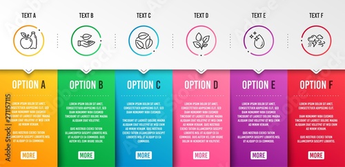 Leaves, Plants watering and Apple icons simple set. Leaf, Water drop and Bad weather signs. Nature leaf, Water drop. Nature set. Infographic template. 6 steps timeline. Business options. Vector