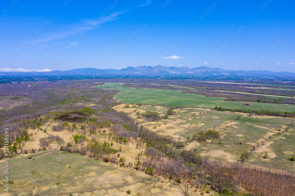 Fototapeta premium 音更町の空撮