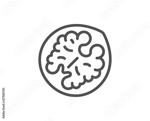 Walnut line icon. Tasty nut sign. Vegan food symbol. Quality design element. Linear style walnut icon. Editable stroke. Vector