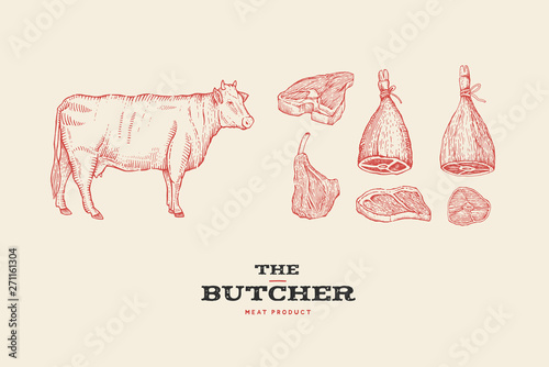 Set vintage hand-drawn different cuts of meats and cow. Engraving pictures for concept of farmers market and shop. Vector Illustration.