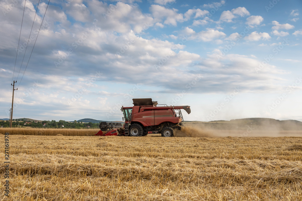 Fototapeta premium Combine harvester agriculture machine harvesting golden ripe wheat field.