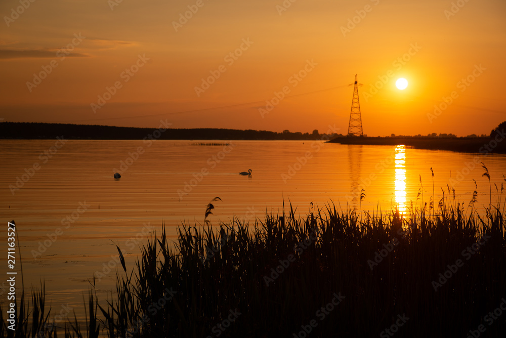 Warm orange sunset at the lakeside, with sun reflecting in the water. Swans in the background.