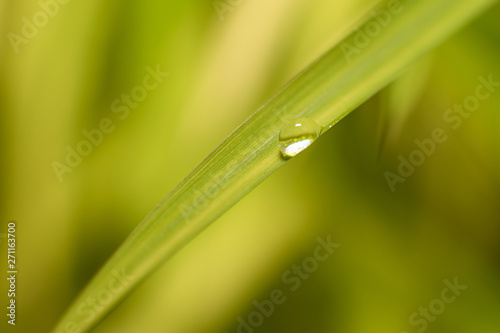 A gota da água