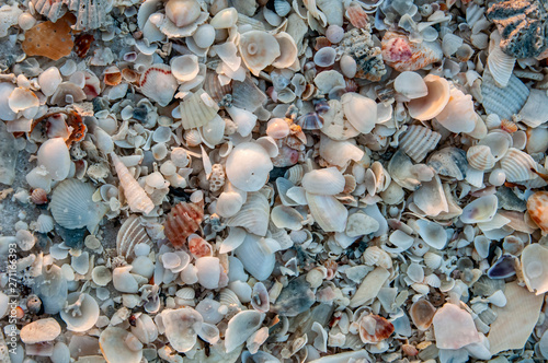 Canvas Print shells