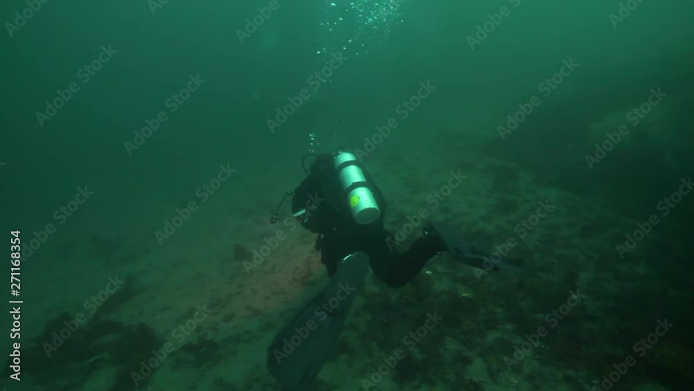 Wide Angle: Scuba Diver Exploring the Sea Floor - Vancouver Island, British Columbia