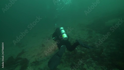 Wallpaper Mural Wide Angle: Scuba Diver Exploring the Sea Floor - Vancouver Island, British Columbia Torontodigital.ca