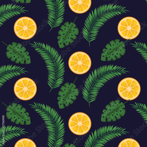 oranges fruits with leaves plants background
