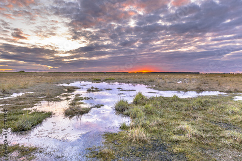 Water in Tidal Marshland nature reserve Saeftinghe © creativenature.nl