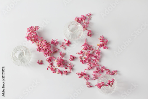 Fototapeta Naklejka Na Ścianę i Meble -  small glass vases and dry pink flowers. Minimalistic composition on a white background. view from above