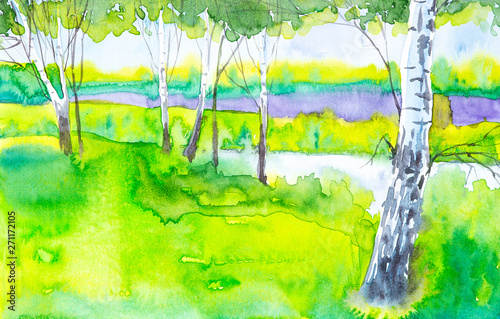 Russian forest landscape with beautiful birches in a clearing. Watercolor illustration