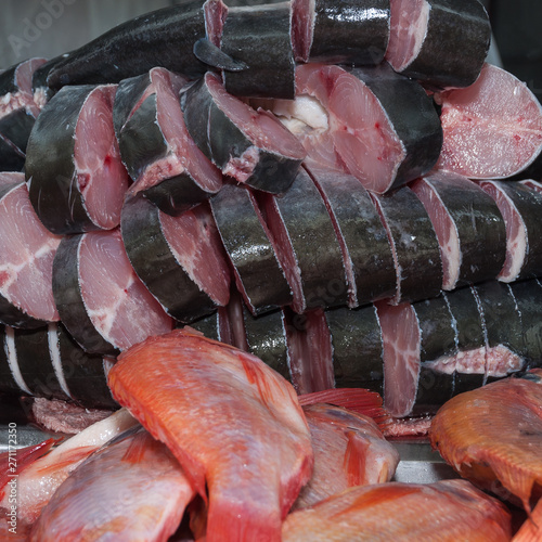 fish, seabass basa (Pangasius bocourti) photo