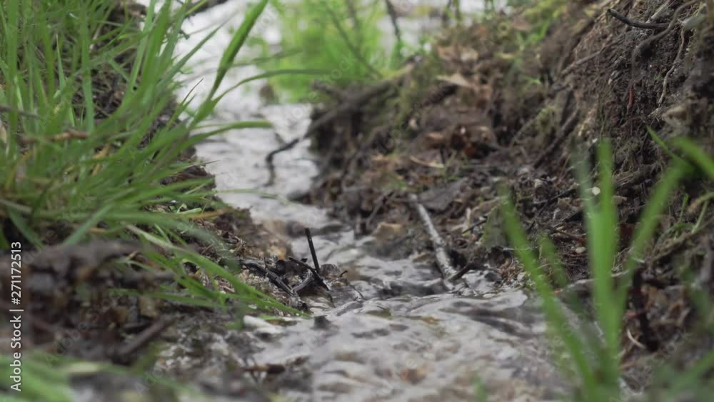 Small stream of water next to grass and brown leaves Small stream of water next to grass and brown leaves
