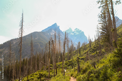 Jenny Lake Trail photo