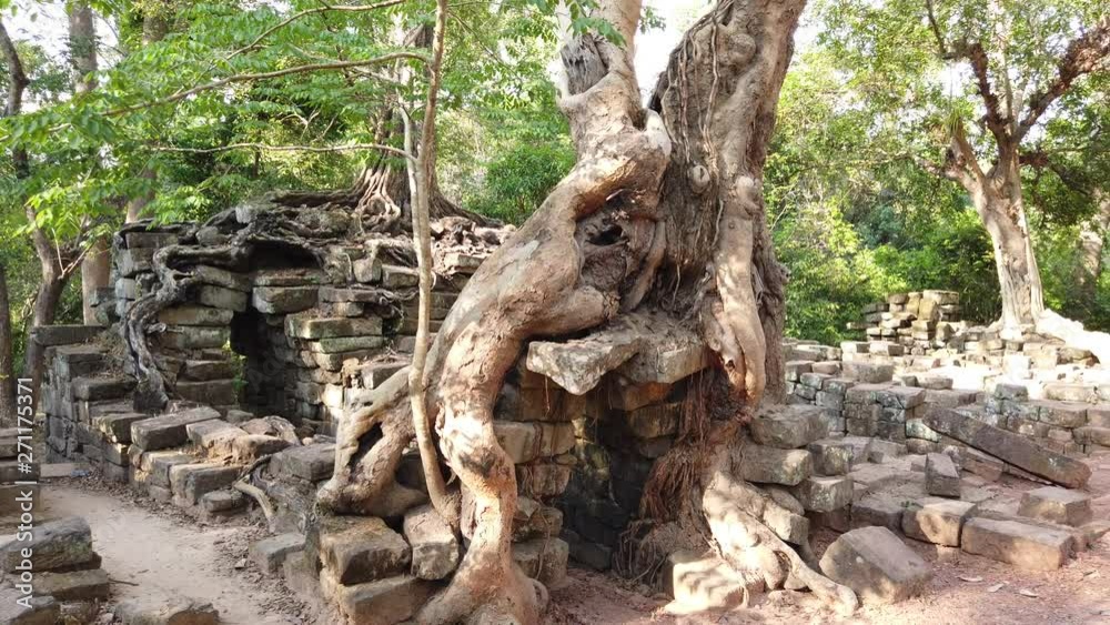 Very beautiful and fabulous places, massive trees grow on the ruins of an ancient unknown structure, archaeological Park Angkor. Very beautiful and fabulous places, massive trees grow on the ruins of an ancient unknown structure, archaeological Park Angkor.