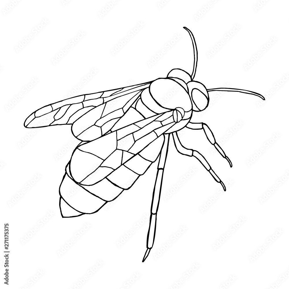 Vector honey bee icon on white background. Vector honey bee icon on white background.