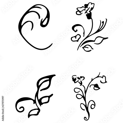 Flowers and branches hand drawn doodle collection isolated on white background. 4 floral graphic elements. Big vector set. Outline collection
