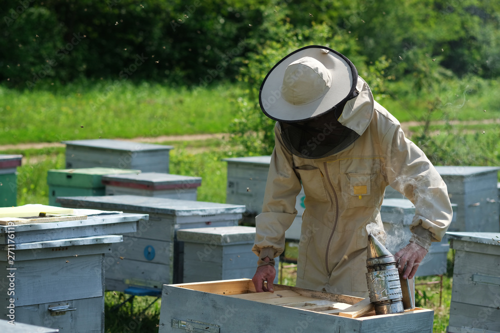 Beekeeper on apiary. Beekeeper is working with bees and beehives on the apiary. Beekeeper on apiary. Beekeeper is working with bees and beehives on the apiary.