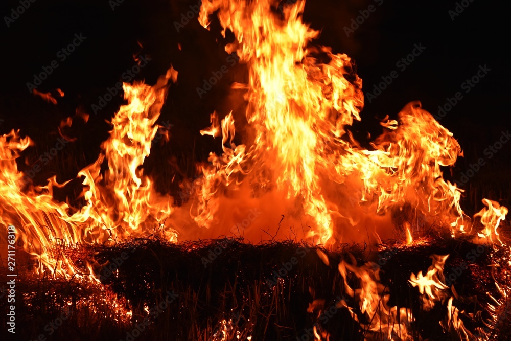 fire flame in darkness for abstract background fire flame in darkness for abstract background