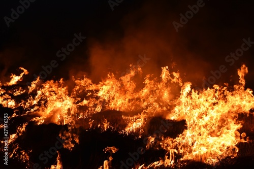fire flame in darkness for abstract background