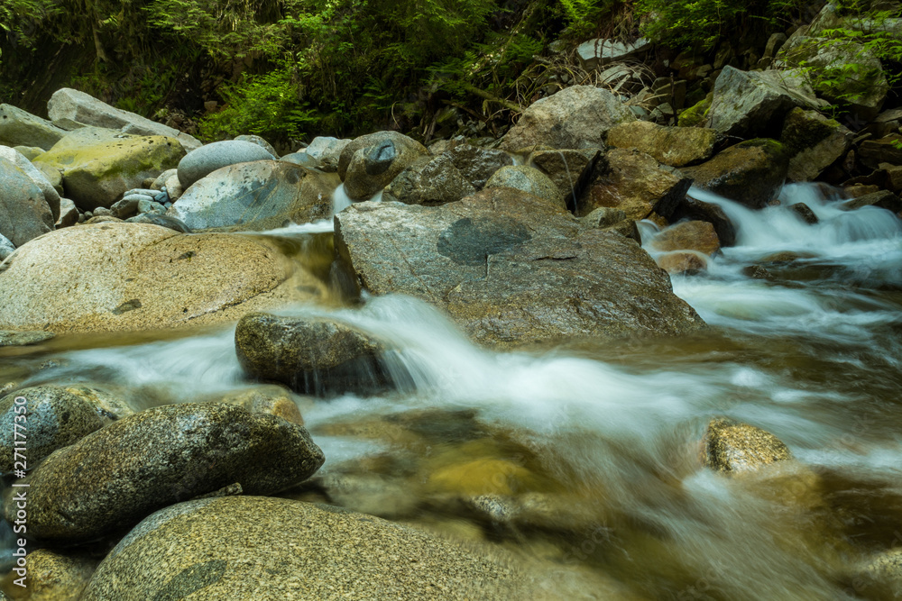 stream flow through rocky creek inside forest with rocks covered in green mosses and plants on the shore stream flow through rocky creek inside forest with rocks covered in green mosses and plants on the shore