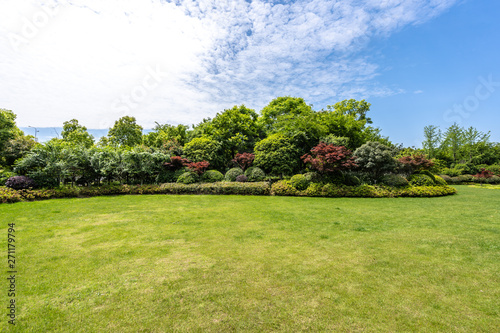 Fototapeta Naklejka Na Ścianę i Meble -  trees in park