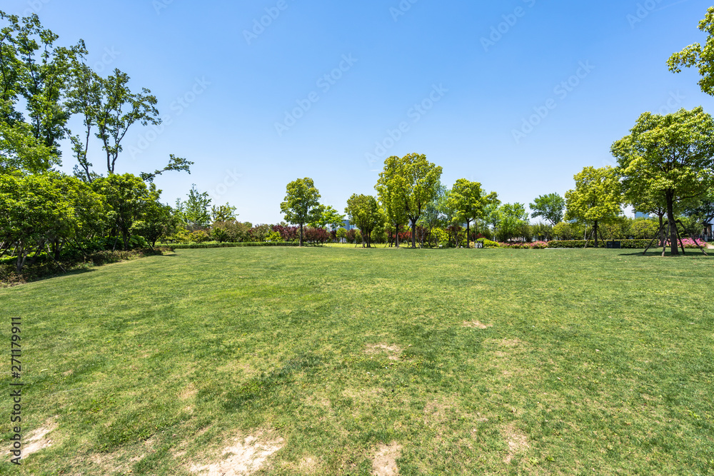 Naklejka premium park in city