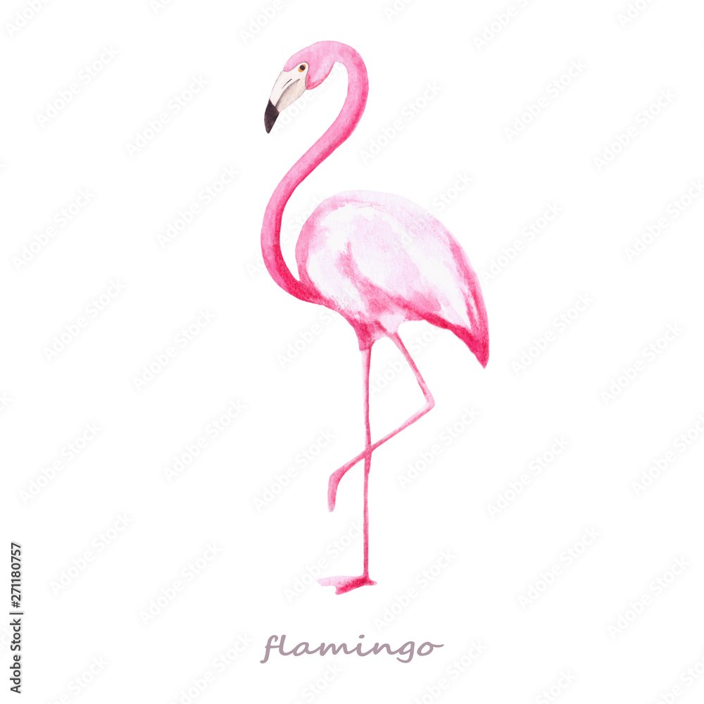 Naklejka premium Watercolor with pink flamingo. The illustrations are drawn by hand