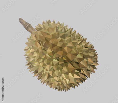 Durian low polygonal vector