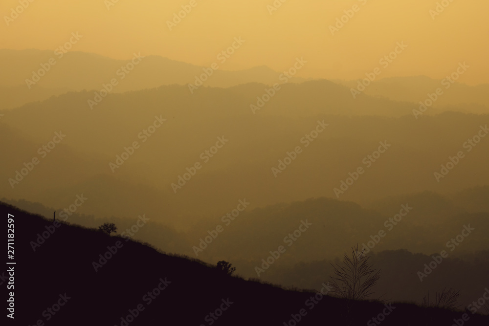 landscape fantastic sunset on foggy autumn forest valley, mystical valley background
