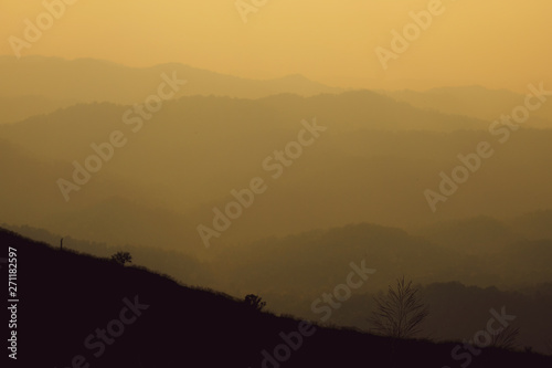 landscape fantastic sunset on foggy autumn forest valley, mystical valley background © iphotothailand
