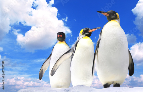 Banner with three emperor penguins on blue sky background