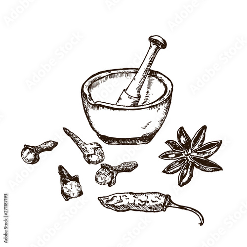 Vector illustration of spices set.Chili pepper, clove, salt, cardamom, stone spice grinder. Hand drawn outline sketch style.