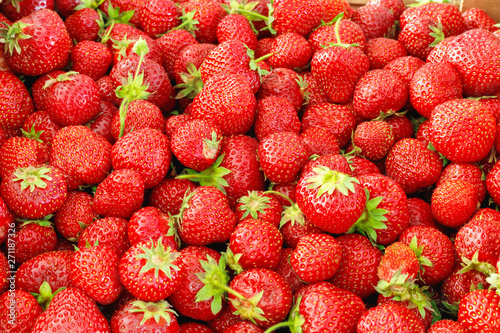 Large box of ripe tasty strawberries. Summer harvest.