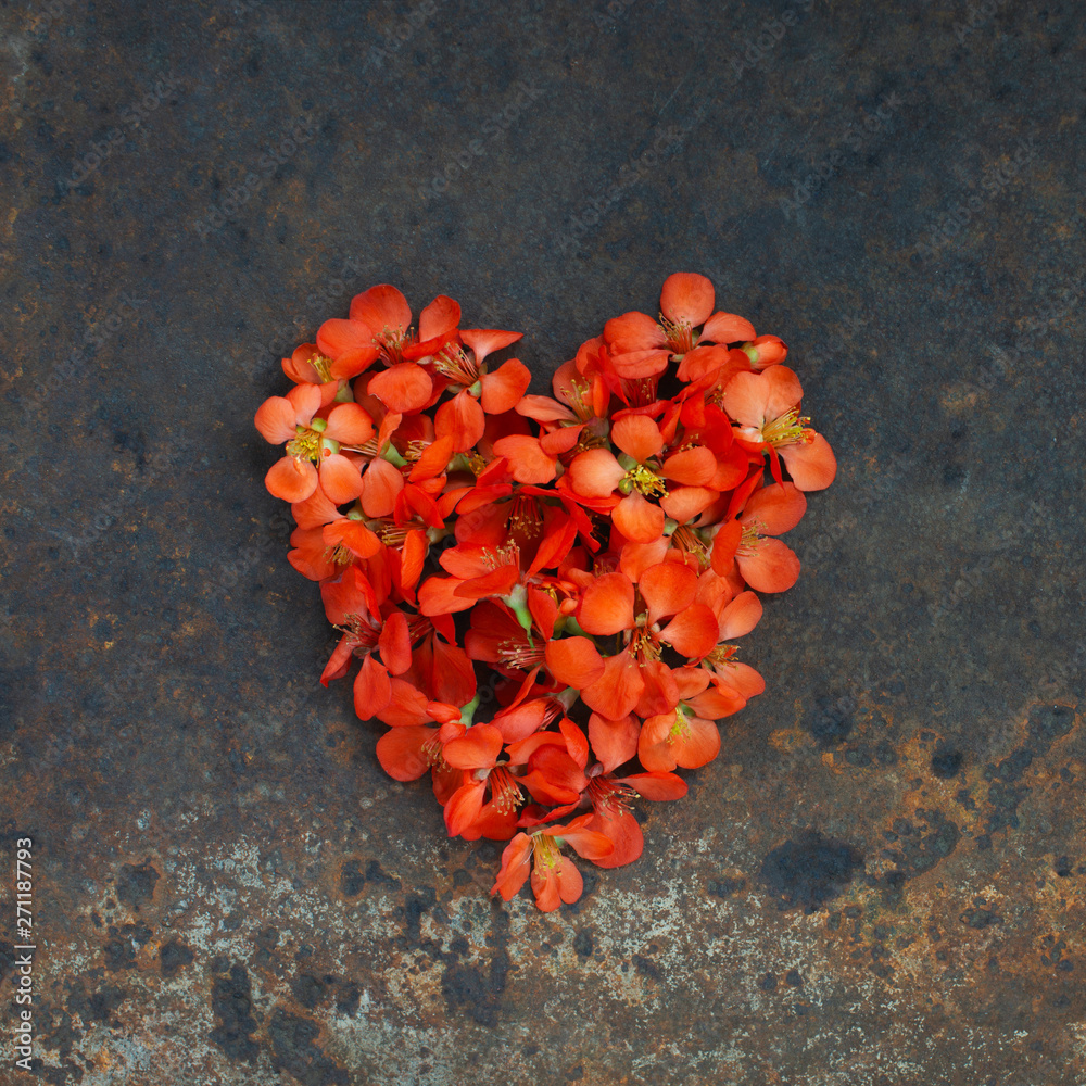 Fototapeta premium Heart of bright orange flowers on the textured rust background