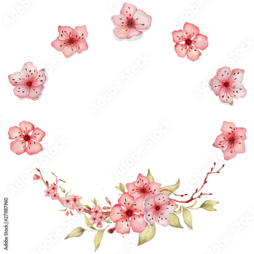 Sakura flowers watercolor illustration. Blossom petal wreath 