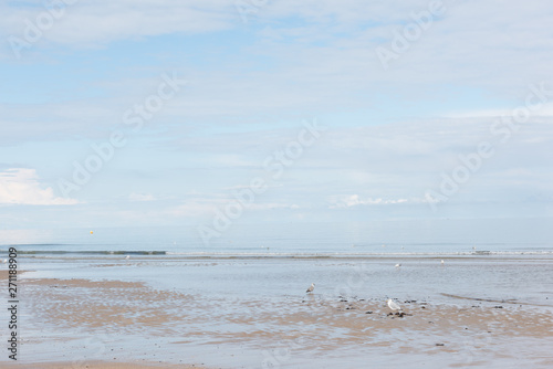 paysage de bord de mer sous le soleil