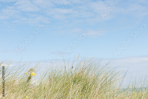 paysage de bord de mer sous le soleil