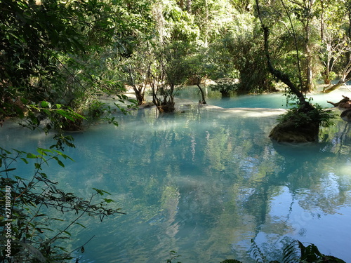 Lac surréaliste au milieu de la jungle