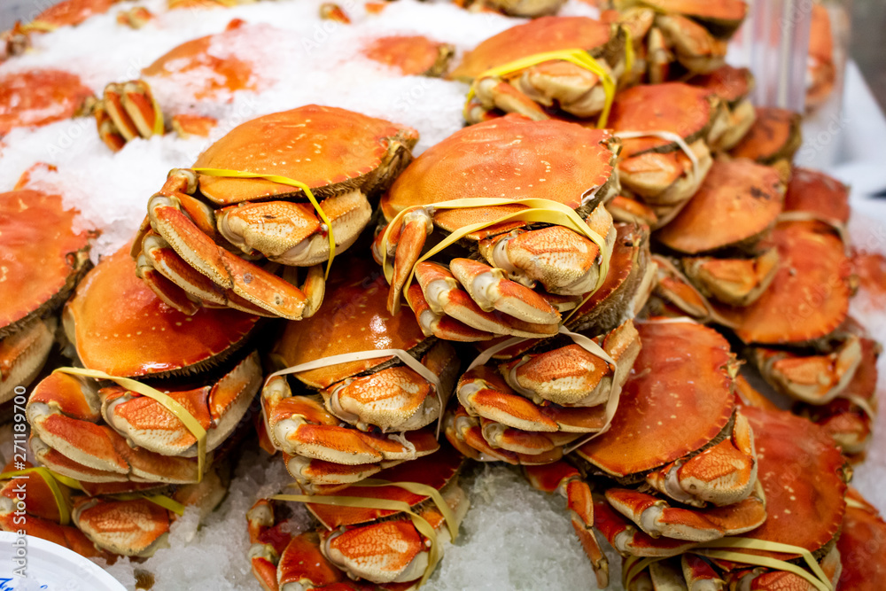 Several units of Dungeness crab over ice Several units of Dungeness crab over ice