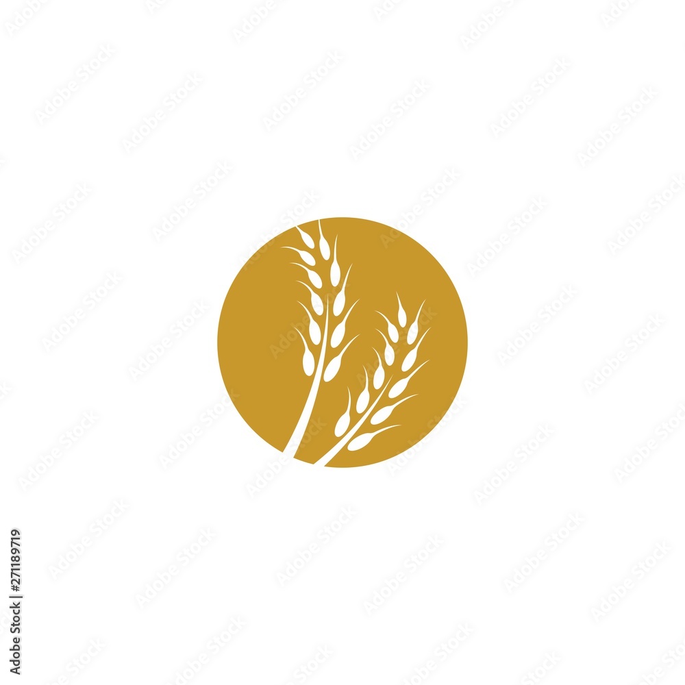 Wheat vector icon illustration design