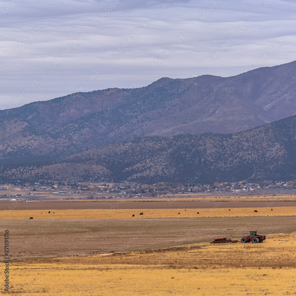 Obraz premium Square frame Panoramic view of a tractor on a vast grassy field under the cloud filled sky